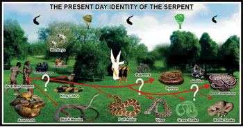 THE PRESENT DAY IDENTITY OF THE SERPENT